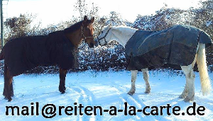Mailadresse
